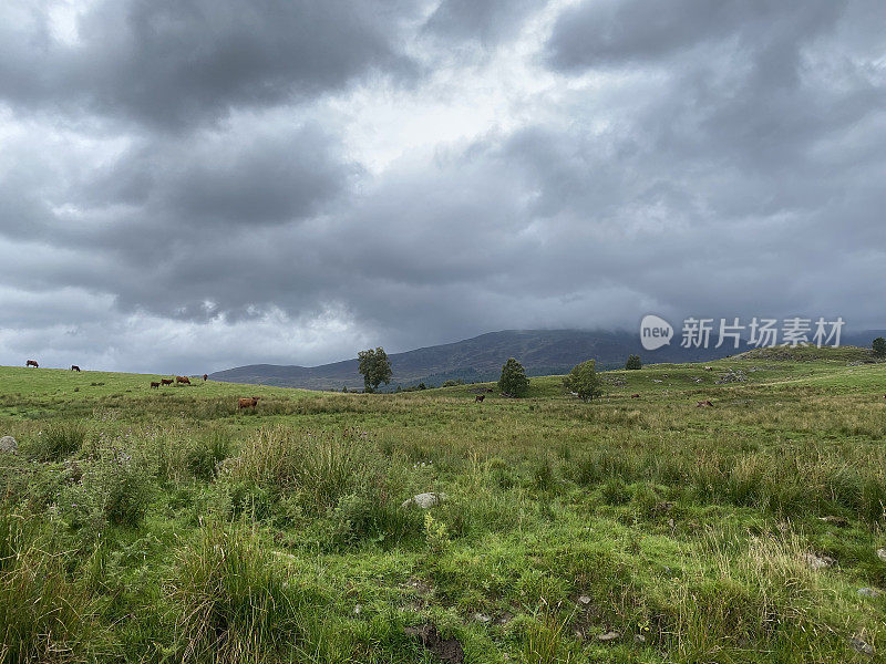 Schiehallion Mountain or Munro Summit In Cloud Cover as Seen from Meall na Mòine